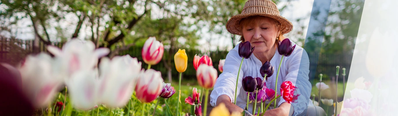 Woman in tulip garden