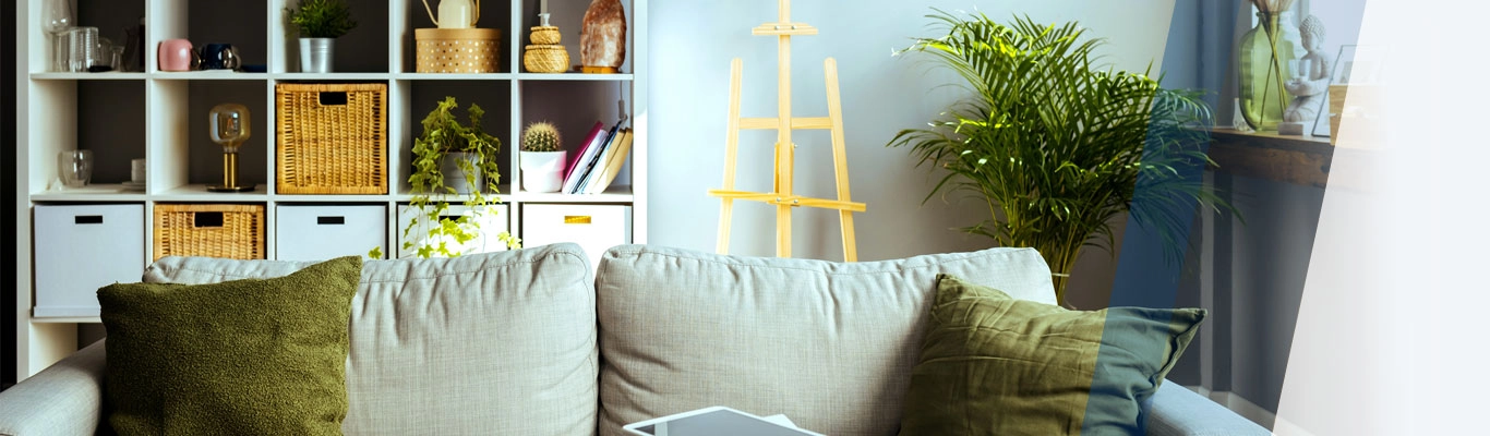 Organized living room scene